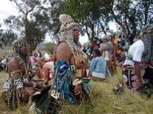  [+2776’4410’726] ╬ SANGOMA/in Modimolle, Zebediela, Senwabarwana, Dendron, Naboom , Botokwa, bronkh